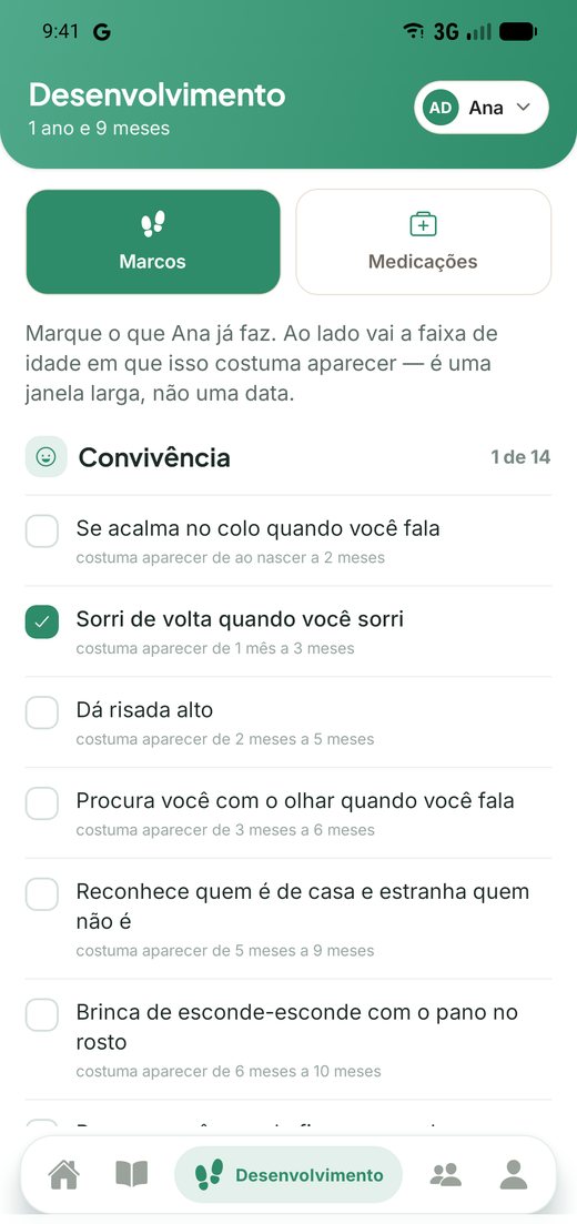 Marcos do desenvolvimento organizados por área